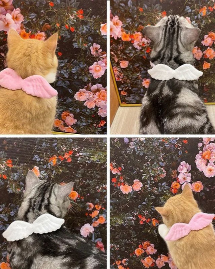 New Cat Specific Pet White Collar Angel Wing Accessories Outdoor Dog Neck Rings Butterfly Tie Supplies Pet Decoration Supplies