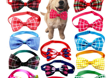 Collection image for: Personalized Pet Accessories