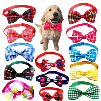 Collection image for: Personalized Pet Accessories