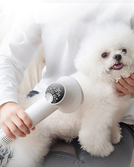 Smart Pet Hair Dryer Dog Golden Retriever Cat Grooming Hairdressing Blow & Comb Silent No Harm Pet Cleaning Supplies Pet Products