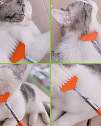 Cat Interactive Scratching Toy Massage Brush Pet Products Cat Scratching