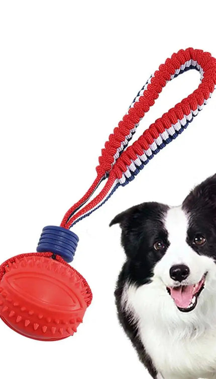 Interactive Dog Toy Ball Interactive Teether With Rope Dog Ball Pet Supplies Chewing Ball Training For Living Room Lake Beach Pets Products