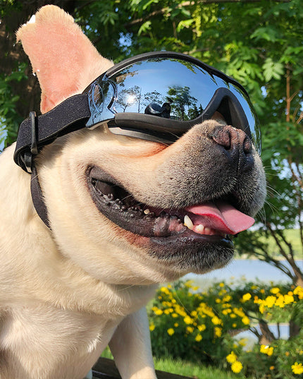 Pet Sunglasses Dog Windproof Glasses Accessories Goggles