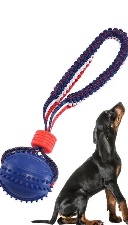 Interactive Dog Toy Ball Interactive Teether With Rope Dog Ball Pet Supplies Chewing Ball Training For Living Room Lake Beach Pets Products