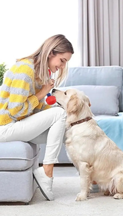 Interactive Dog Toy Ball Interactive Teether With Rope Dog Ball Pet Supplies Chewing Ball Training For Living Room Lake Beach Pets Products